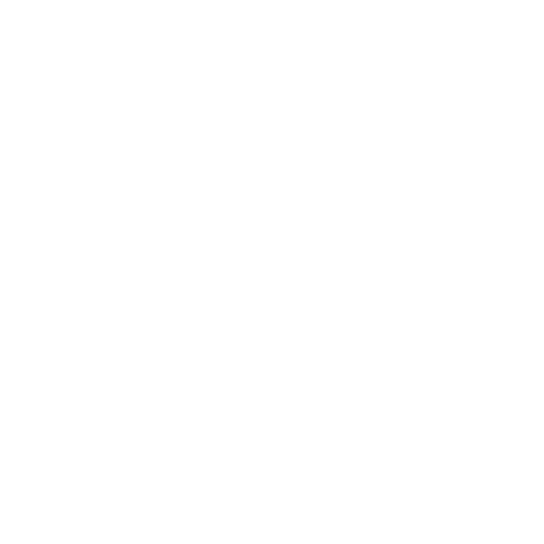 City Chaos Apparel 