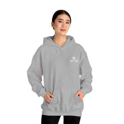 City Chaos Apparel Signature Sports Grey Hoodie